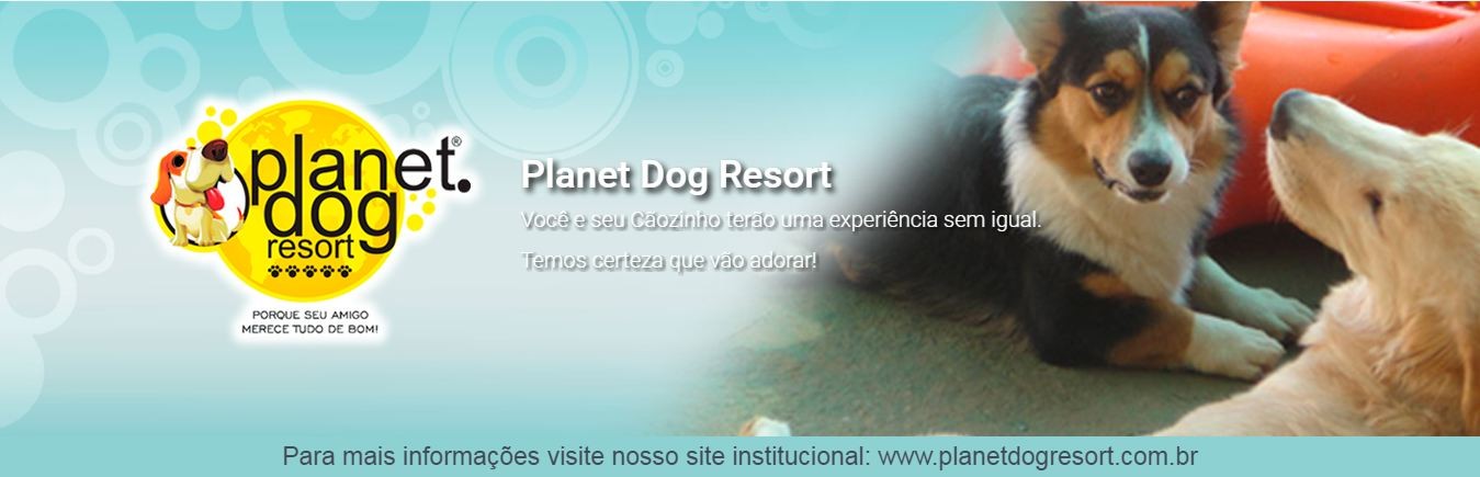 Planet Dog Resort -  Spa Para Cães